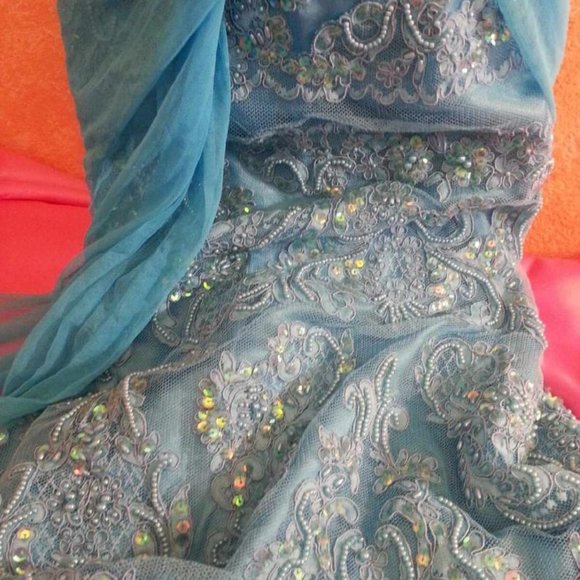 Custom Order Turquoise Lace Net Wedding Saree - Picture 6 of 8